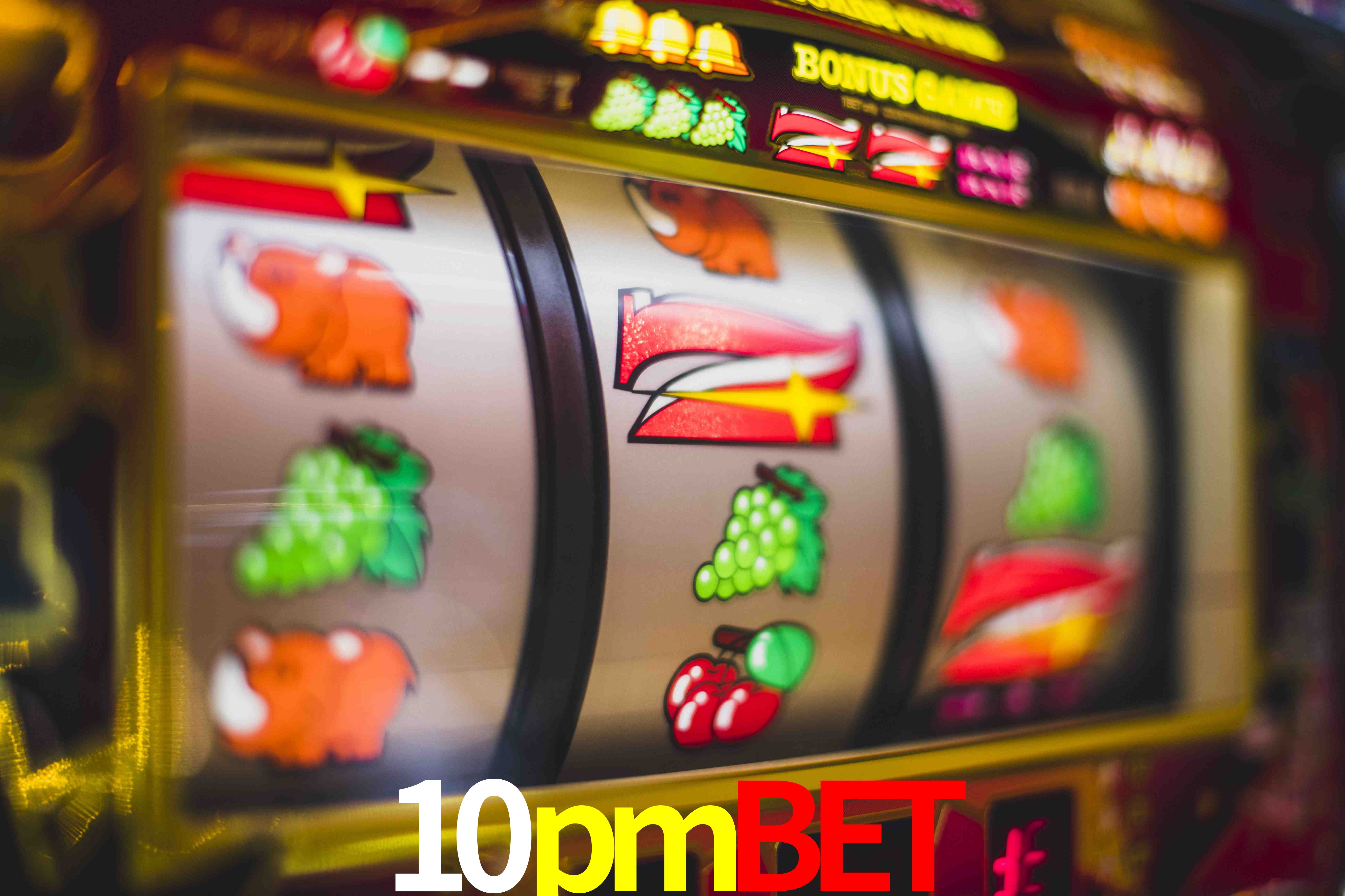 Sports Statistics 10pmbet